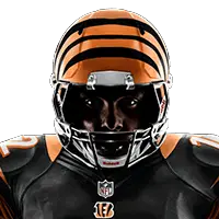 Cincinnati Bengals